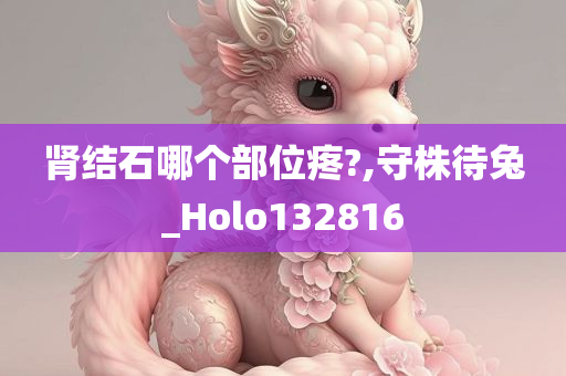 肾结石哪个部位疼?,守株待兔_Holo132816