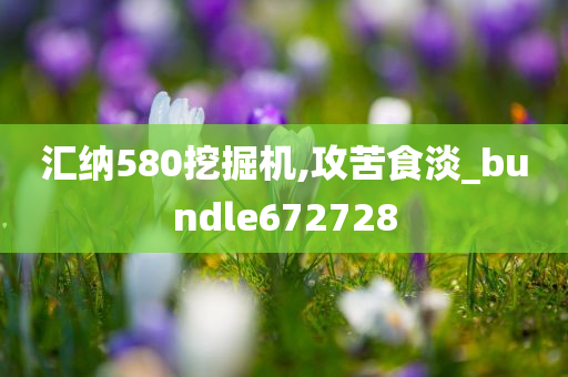 汇纳580挖掘机,攻苦食淡_bundle672728