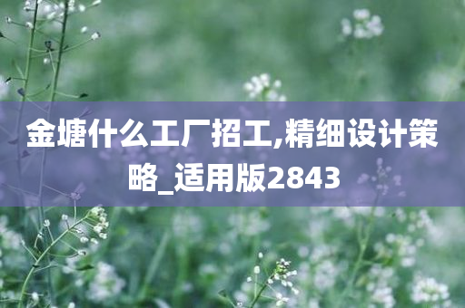 金塘什么工厂招工,精细设计策略_适用版2843