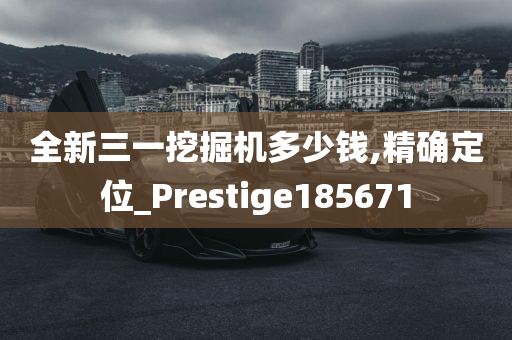 全新三一挖掘机多少钱,精确定位_Prestige185671