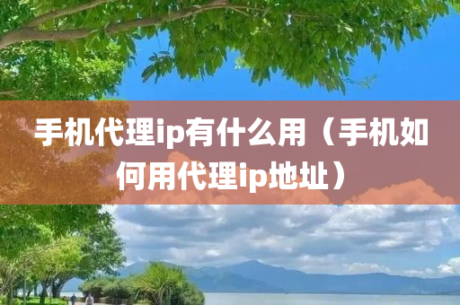 手机代理ip有什么用（手机如何用代理ip地址）