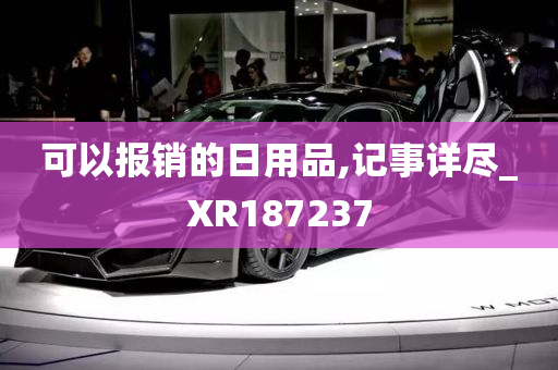 可以报销的日用品,记事详尽_XR187237