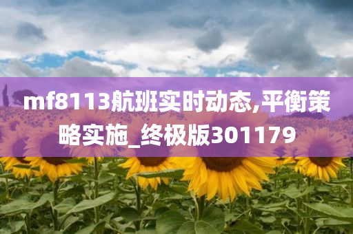 mf8113航班实时动态,平衡策略实施_终极版301179