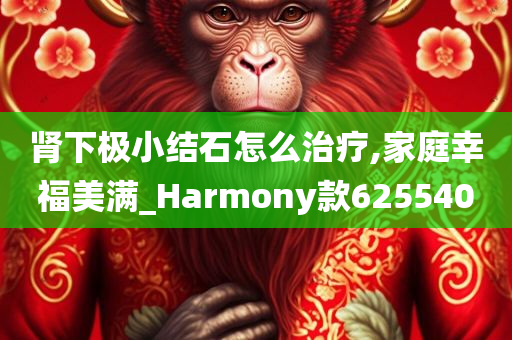 肾下极小结石怎么治疗,家庭幸福美满_Harmony款625540