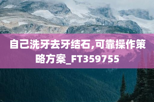 自己洗牙去牙结石,可靠操作策略方案_FT359755