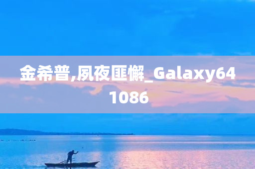 金希普,夙夜匪懈_Galaxy641086