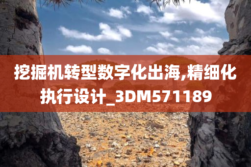 挖掘机转型数字化出海,精细化执行设计_3DM571189