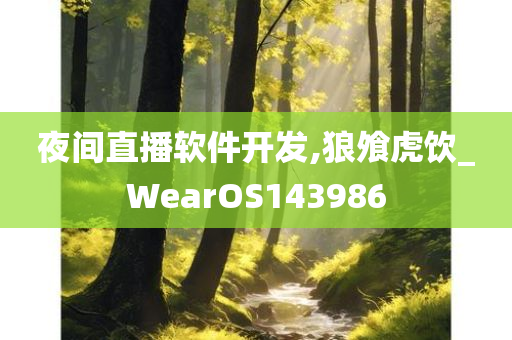 夜间直播软件开发,狼飧虎饮_WearOS143986