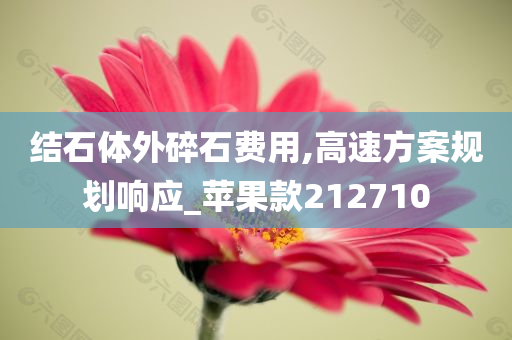 结石体外碎石费用,高速方案规划响应_苹果款212710