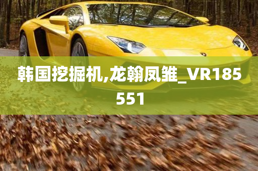 韩国挖掘机,龙翰凤雏_VR185551