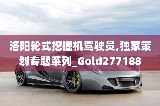 洛阳轮式挖掘机驾驶员,独家策划专题系列_Gold277188