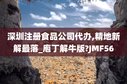 深圳注册食品公司代办,精地新解最落_庖丁解牛版?JMF56