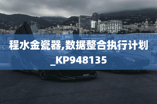 程水金瓷器,数据整合执行计划_KP948135