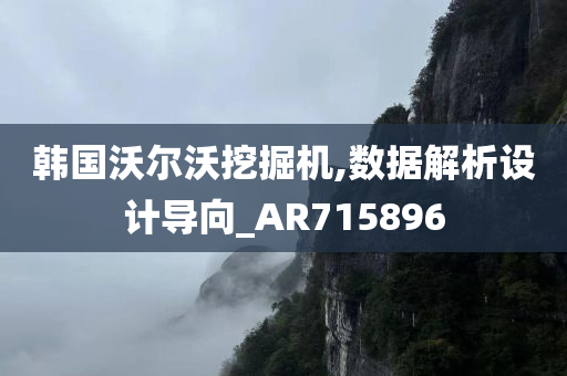 韩国沃尔沃挖掘机,数据解析设计导向_AR715896