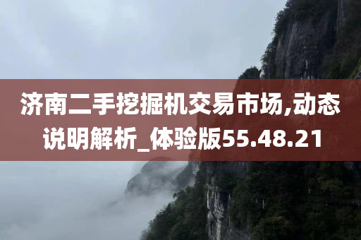 济南二手挖掘机交易市场,动态说明解析_体验版55.48.21