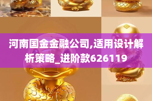 河南国金金融公司,适用设计解析策略_进阶款626119