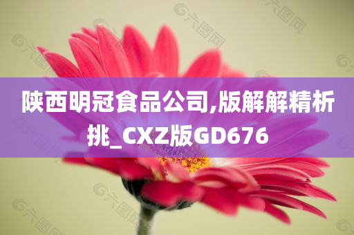 陕西明冠食品公司,版解解精析挑_CXZ版GD676