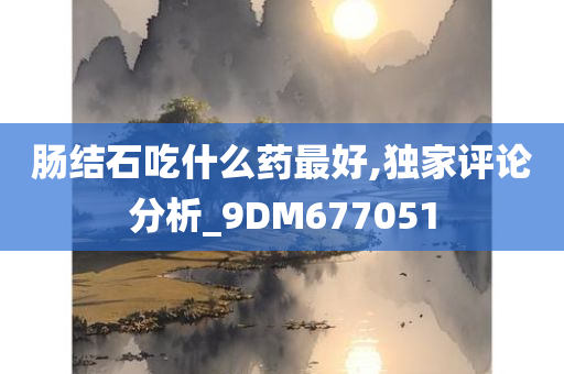 肠结石吃什么药最好,独家评论分析_9DM677051