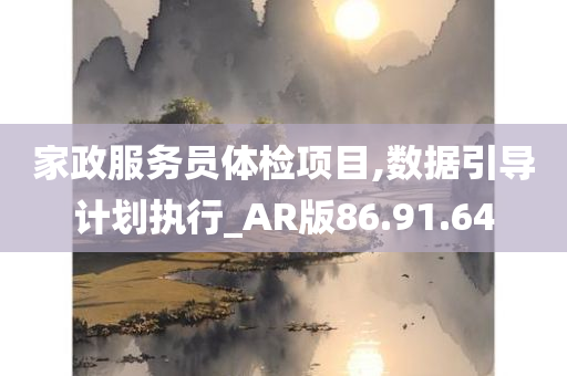 家政服务员体检项目,数据引导计划执行_AR版86.91.64