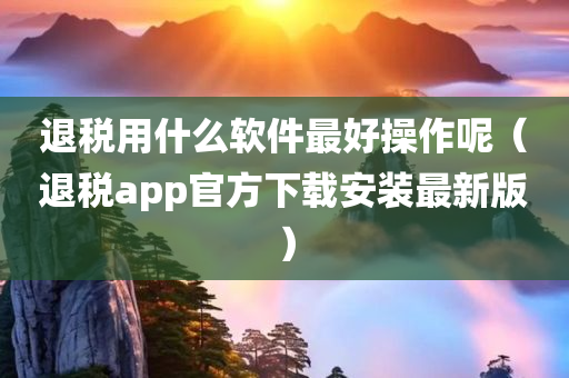 退税用什么软件最好操作呢（退税app官方下载安装最新版）