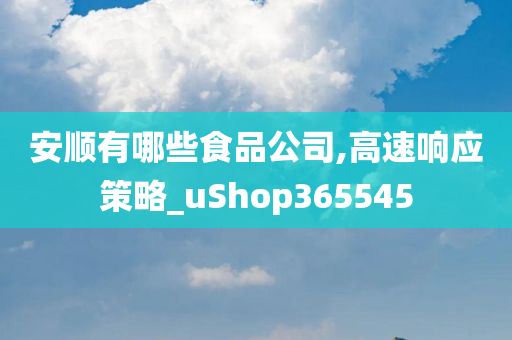 安顺有哪些食品公司,高速响应策略_uShop365545