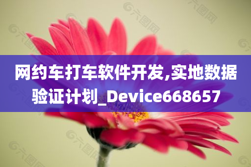 网约车打车软件开发,实地数据验证计划_Device668657