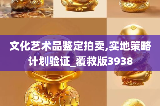 文化艺术品鉴定拍卖,实地策略计划验证_覆救版3938