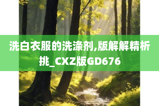 洗白衣服的洗涤剂,版解解精析挑_CXZ版GD676