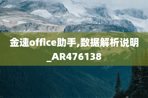 金速office助手,数据解析说明_AR476138