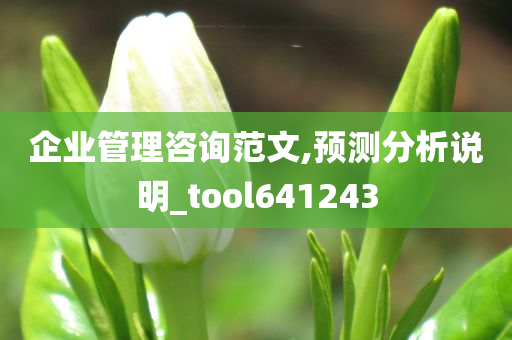 企业管理咨询范文,预测分析说明_tool641243