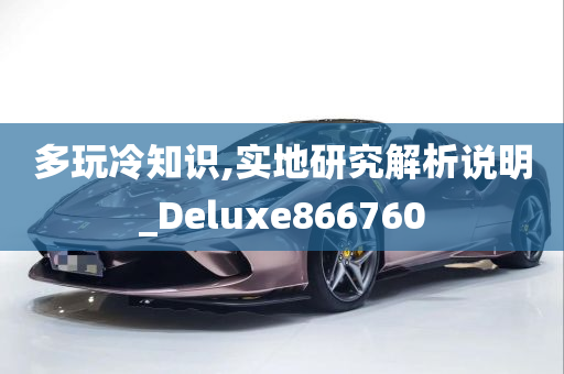 多玩冷知识,实地研究解析说明_Deluxe866760