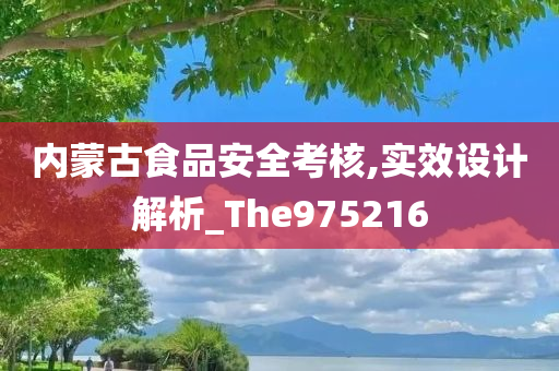 内蒙古食品安全考核,实效设计解析_The975216