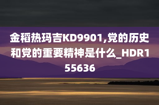 金稻热玛吉KD9901,党的历史和党的重要精神是什么_HDR155636