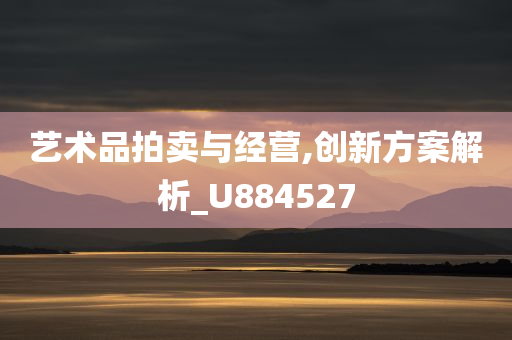 艺术品拍卖与经营,创新方案解析_U884527