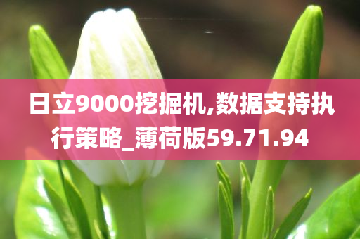 日立9000挖掘机,数据支持执行策略_薄荷版59.71.94