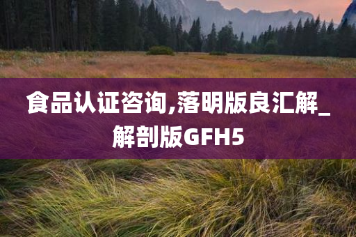 食品认证咨询,落明版良汇解_解剖版GFH5