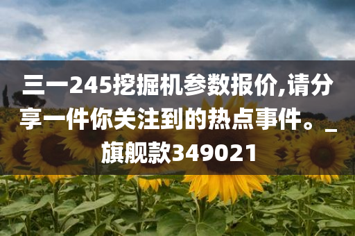 三一245挖掘机参数报价,请分享一件你关注到的热点事件。_旗舰款349021