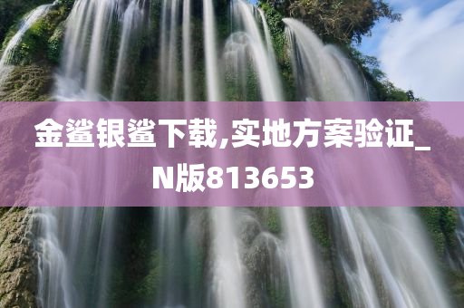 金鲨银鲨下载,实地方案验证_N版813653