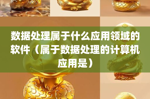 数据处理属于什么应用领域的软件（属于数据处理的计算机应用是）