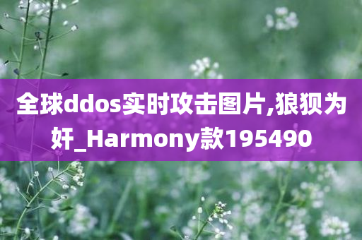 全球ddos实时攻击图片,狼狈为奸_Harmony款195490