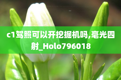 c1驾照可以开挖掘机吗,毫光四射_Holo796018