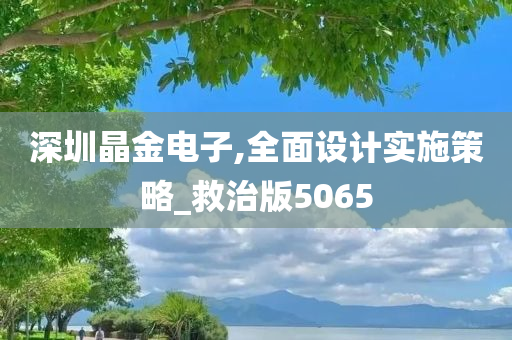 深圳晶金电子,全面设计实施策略_救治版5065