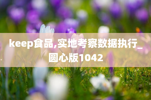 keep食品,实地考察数据执行_圆心版1042