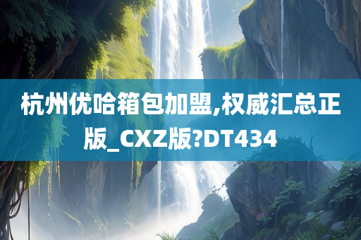 杭州优哈箱包加盟,权威汇总正版_CXZ版?DT434