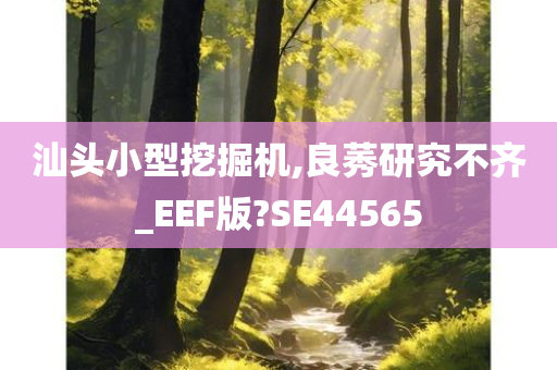 汕头小型挖掘机,良莠研究不齐_EEF版?SE44565