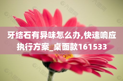 牙结石有异味怎么办,快速响应执行方案_桌面款161533