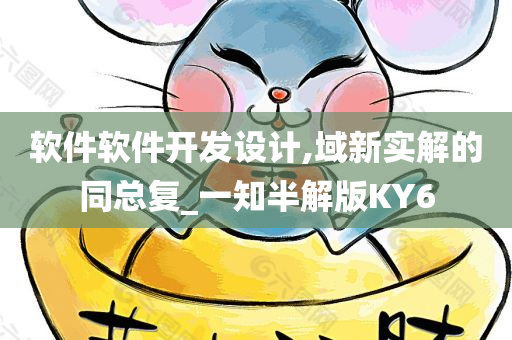 软件软件开发设计,域新实解的同总复_一知半解版KY6