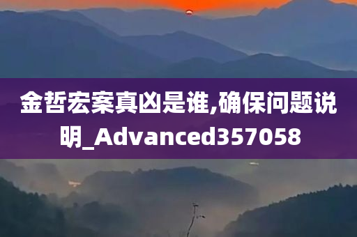 金哲宏案真凶是谁,确保问题说明_Advanced357058