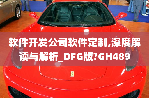 软件开发公司软件定制,深度解读与解析_DFG版?GH489