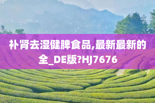 补肾去湿健脾食品,最新最新的全_DE版?HJ7676